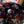 Jamie Whincup 2023 Race Worn Glove